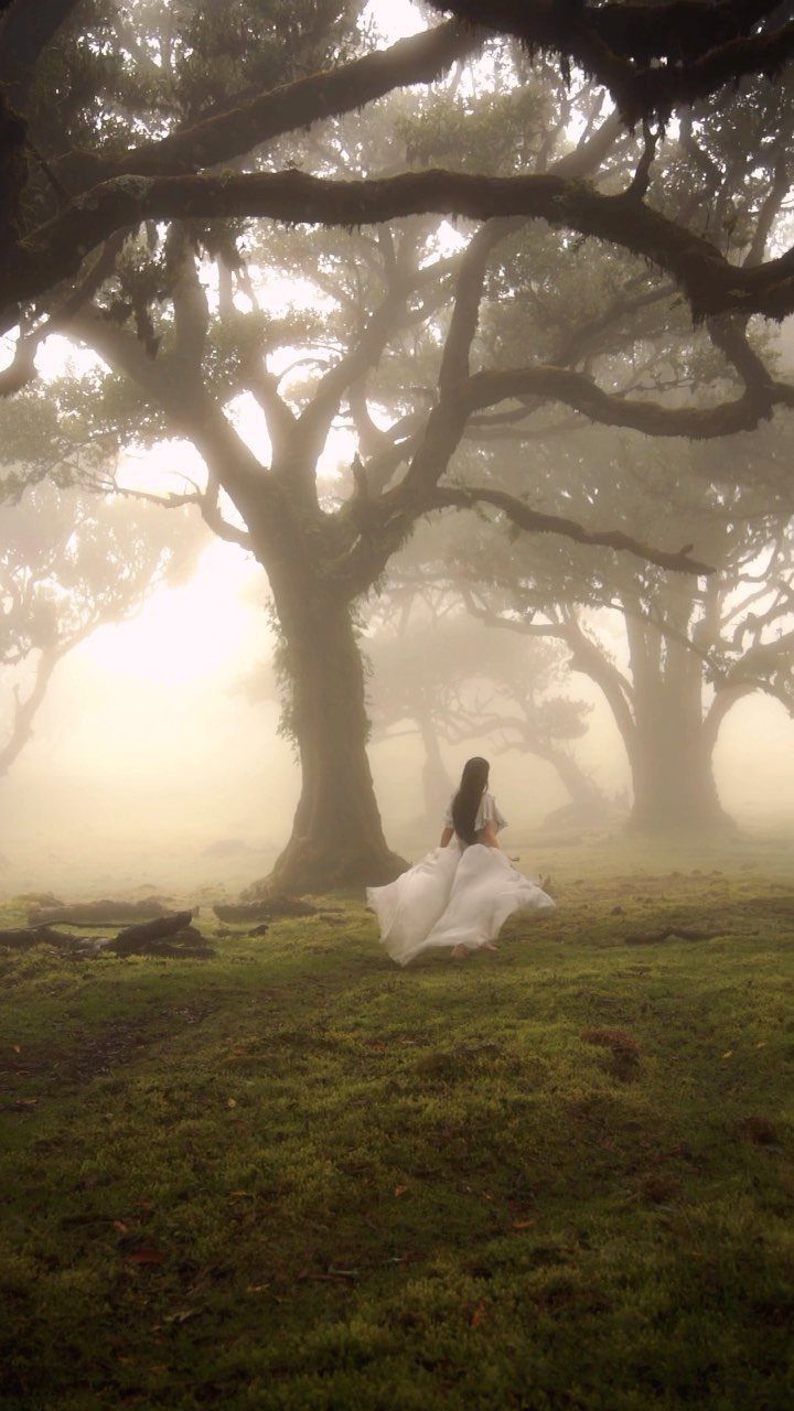 Enchanted Forest Wedding Theme: 10 Ideas for a Natural Setting 10 A woman in a white dress sits amidst large trees in a misty, golden forest.