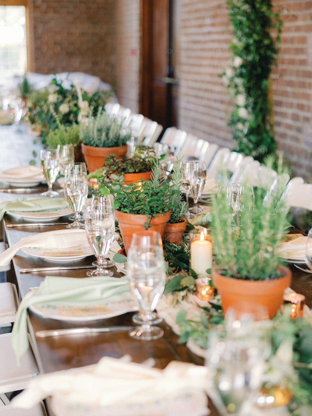 Terracotta pots filled with green herbs arranged as centerpieces on a long wedding dining table.