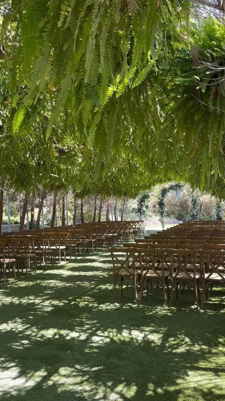 Wooden chairs arranged in rows on a green lawn under a lush canopy of hanging ferns.