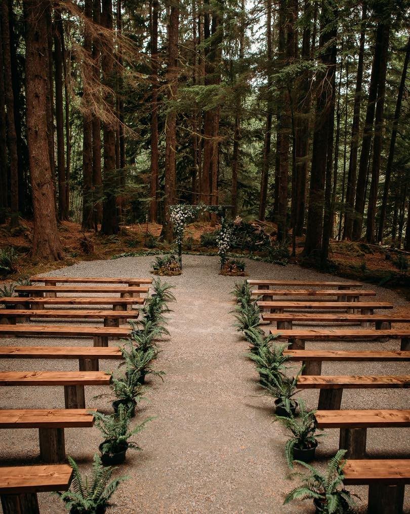Wooden benches line a gravel aisle leading to a floral archway in a dense forest.