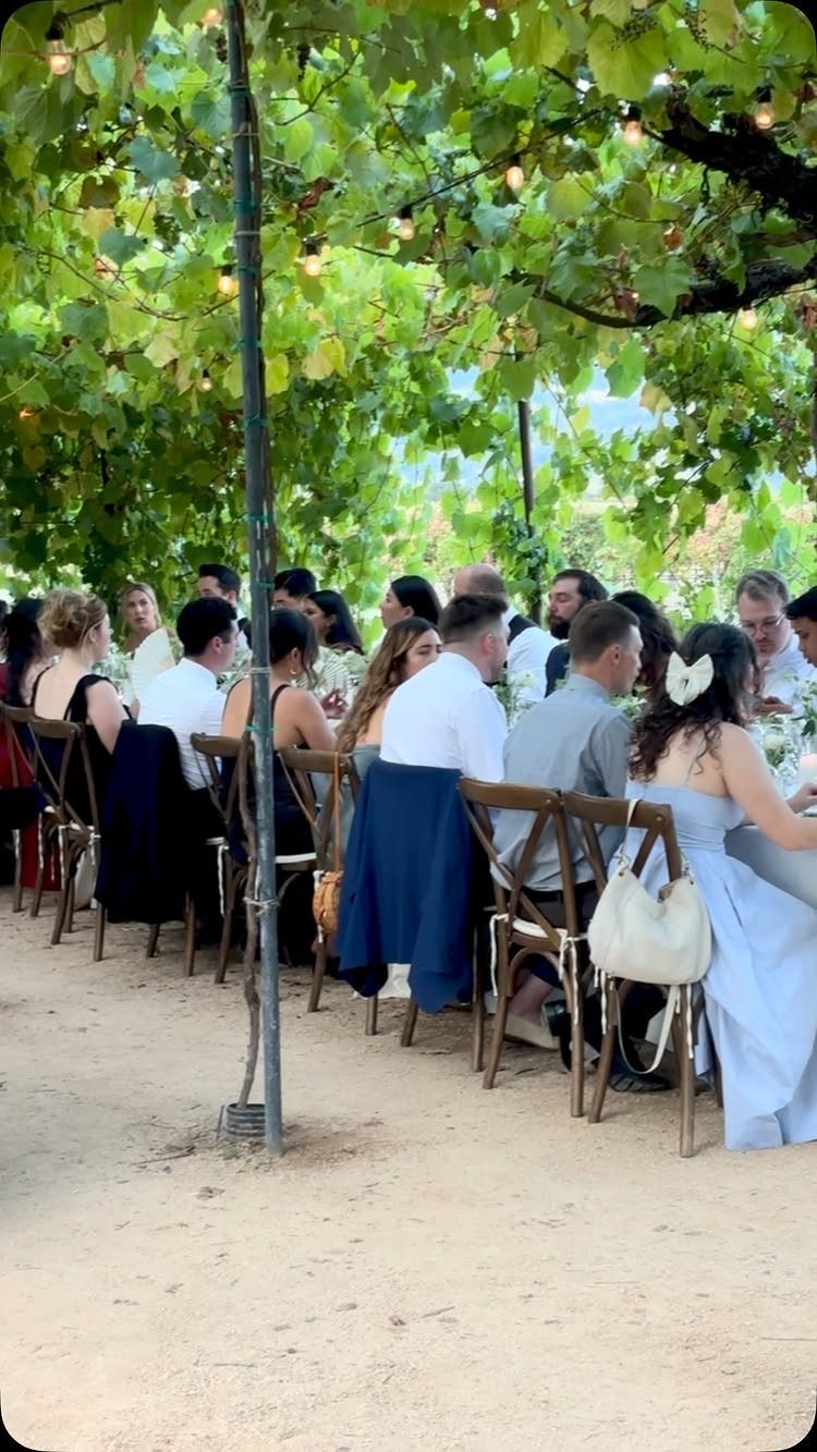People dining at a long table under a canopy of green grapevines outdoors.