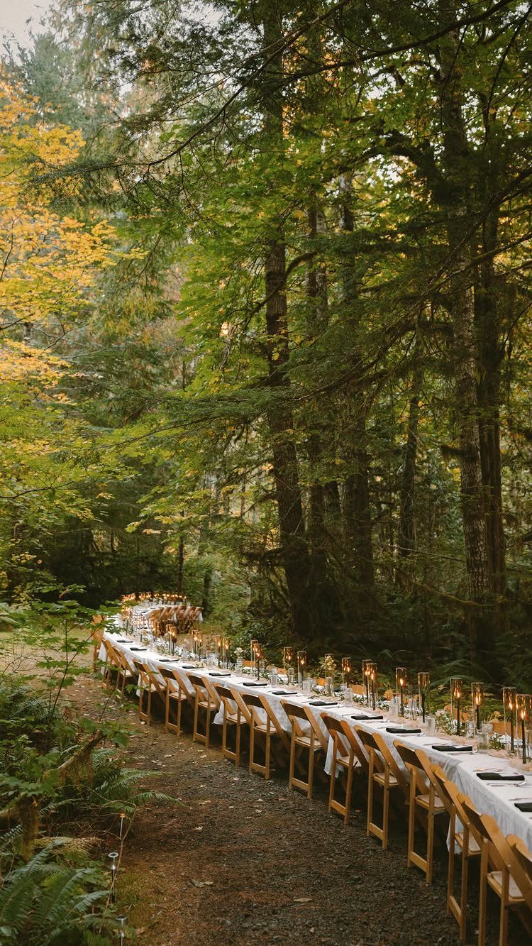 A long wedding reception table with white linens set along a forest path under tall trees.