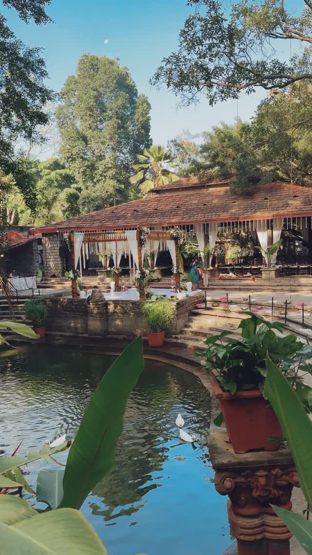 A tranquil courtyard with a stone pond, lush greenery, and a rustic building under tall trees.