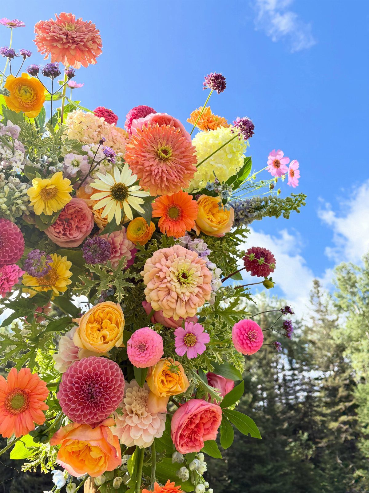 Colorful summer flowers in a lush arrangement against a bright blue sky and green trees.