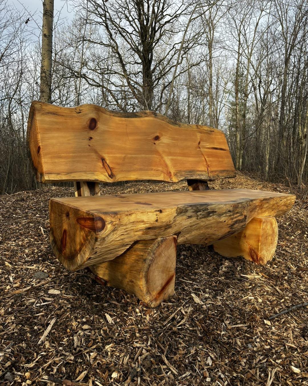 A rustic wooden bench crafted from thick logs and live-edge timber slabs in a wooded area.