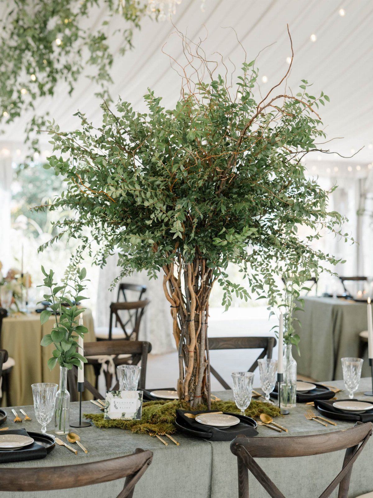 A tall leafy centerpiece supported by a base of thick wooden branches on a decorated wedding table.
