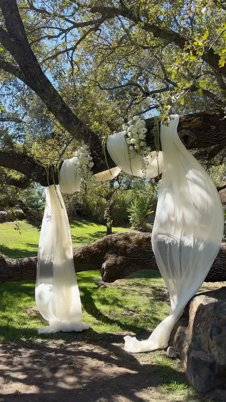 White fabric and small white flowers draped over the branches of a large tree in a grassy field.